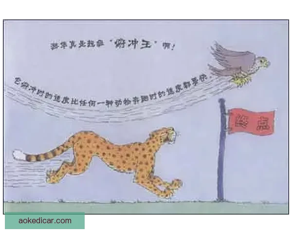 博尔特对决猎豹人类极速与自然速度的终极较量揭秘谁更快科学解析